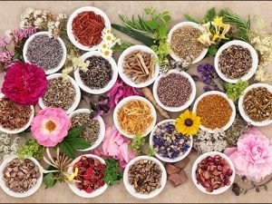 AYUSH AYURVEDA IN THE TIME OF CORONA